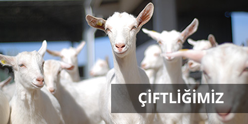 ciftlik-foto