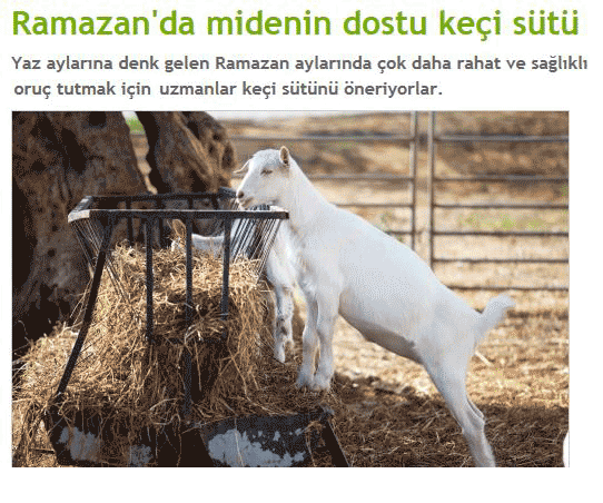 ramazan1